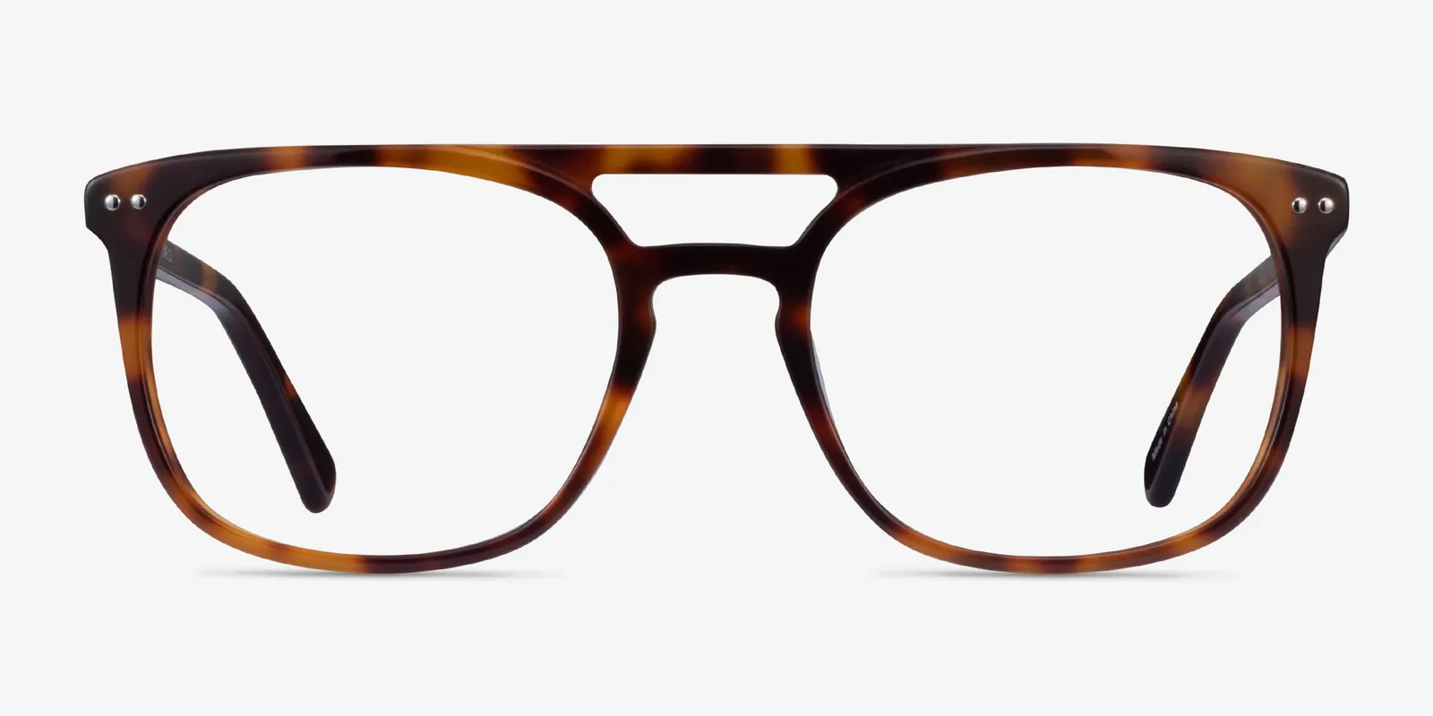 Osama in Tortoise, front view